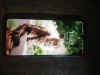 Vivo y20G